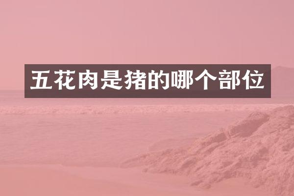 五花肉是猪的哪个部位