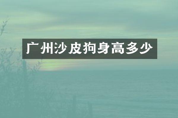 广州沙皮狗身高多少