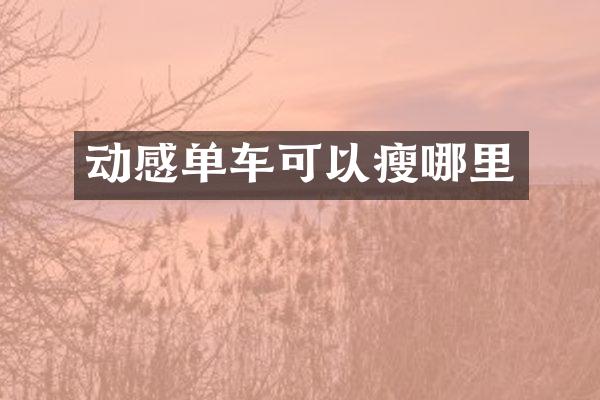 动感单车可以瘦哪里