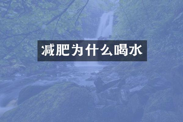 减肥为什么喝水