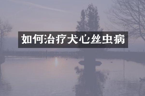 如何治疗犬心丝虫病