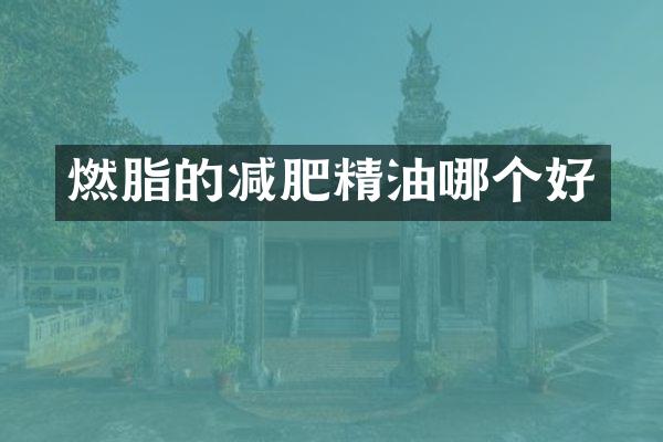 燃脂的减肥精油哪个好