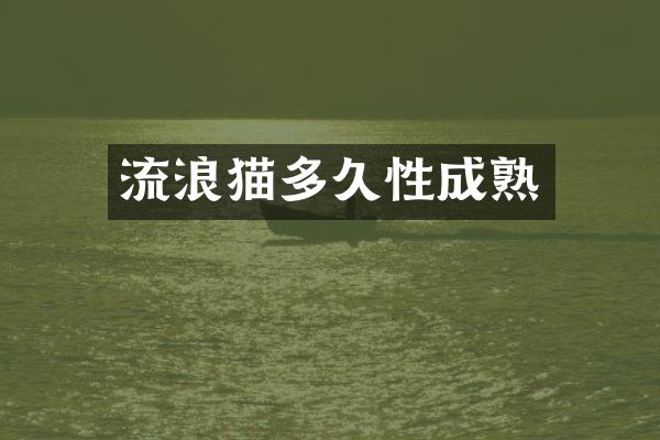 流浪猫多久性成熟