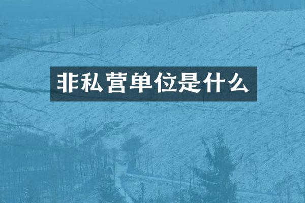 非私营单位是什么