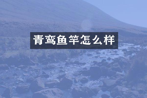 青鸾鱼竿怎么样