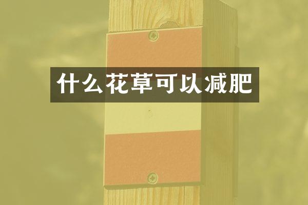 什么花草可以减肥