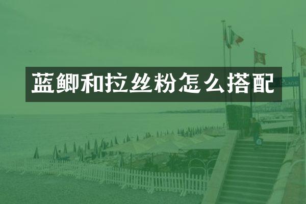 蓝鲫和拉丝粉怎么搭配