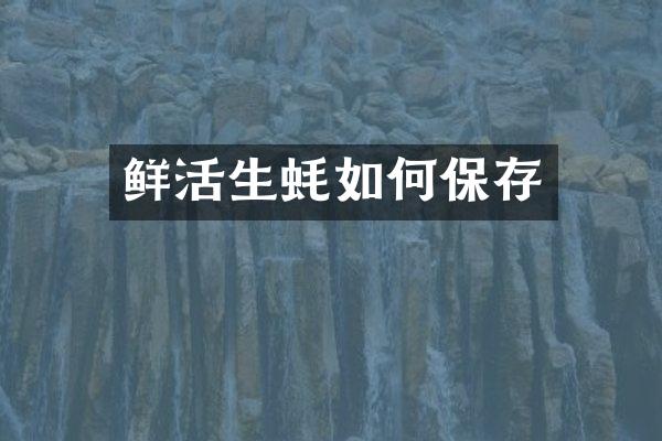 鲜活生蚝如何保存