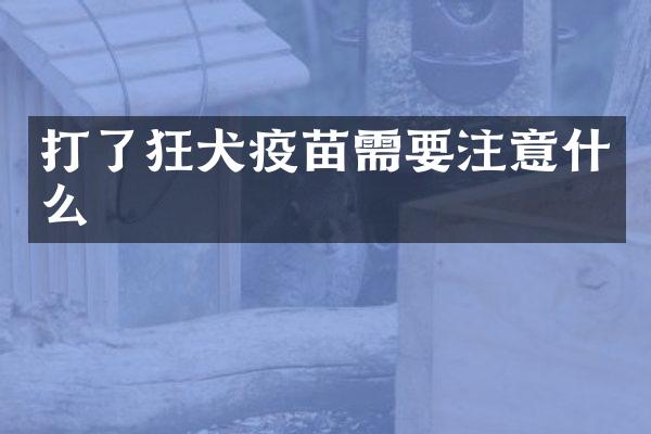 打了狂犬疫苗需要注意什么