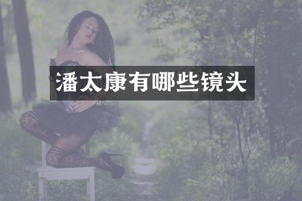 潘太康有哪些镜头