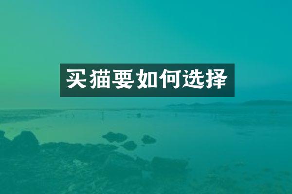 买猫要如何选择