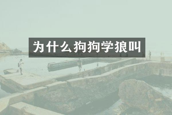 为什么狗狗学狼叫