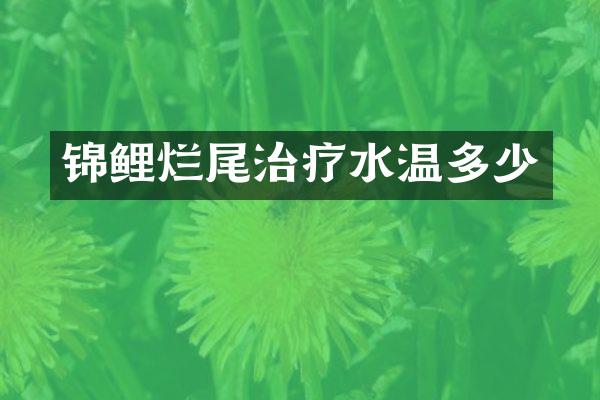 锦鲤烂尾治疗水温多少