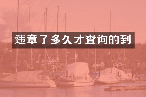 违章了多久才查询的到