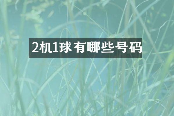2机1球有哪些号码