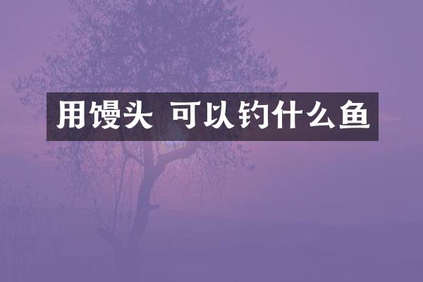 用馒头 可以钓什么鱼