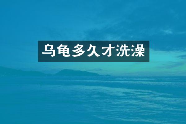 乌龟多久才洗澡