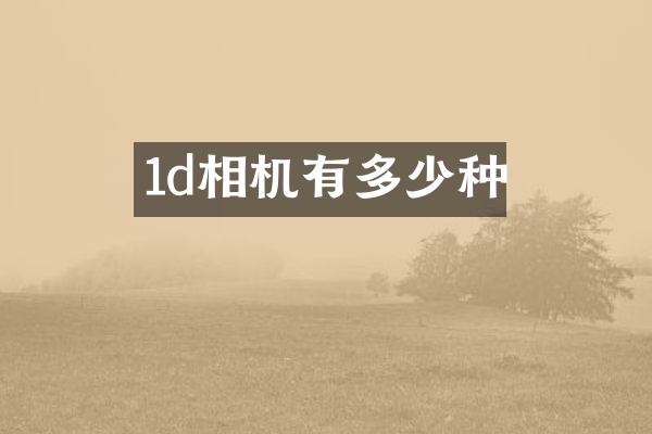 1d相机有多少种