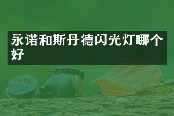 永诺和斯丹德闪光灯哪个好