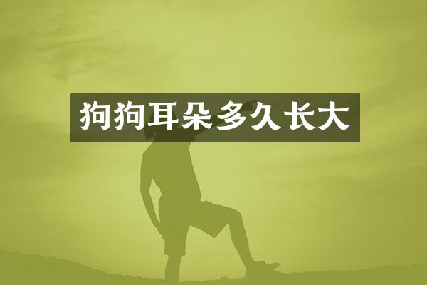 狗狗耳朵多久长大