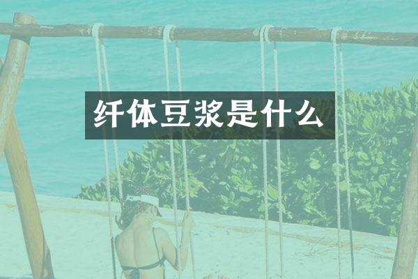 纤体豆浆是什么