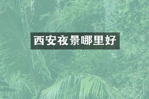 西安夜景哪里好