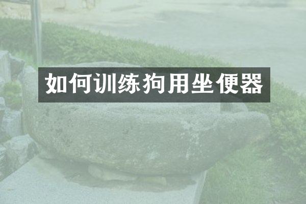 如何训练狗用坐便器