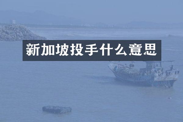 新加坡投手什么意思