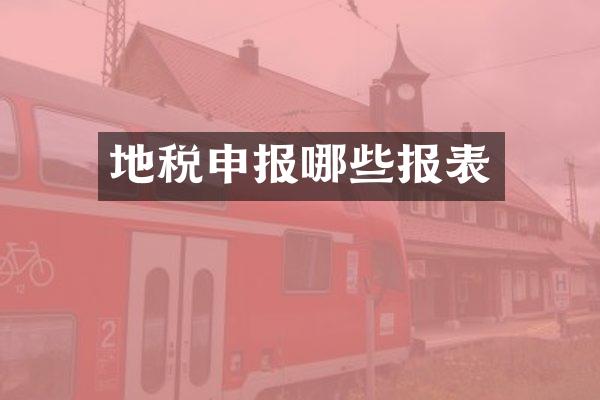 地税申报哪些报表
