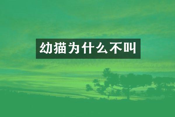 幼猫为什么不叫