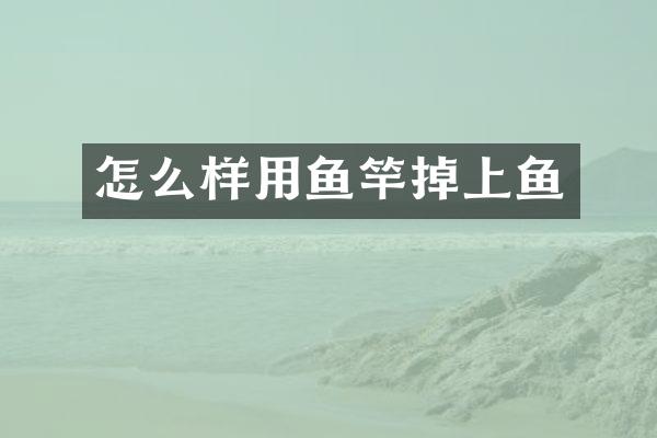 怎么样用鱼竿掉上鱼