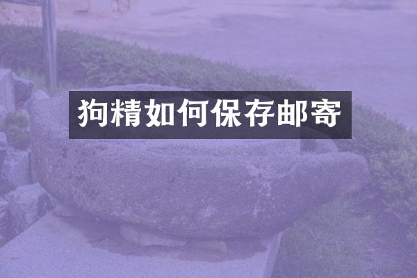 狗精如何保存邮寄