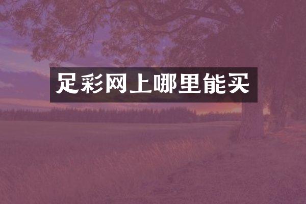 网上哪里能买