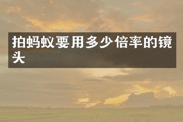 拍蚂蚁要用多少倍率的镜头