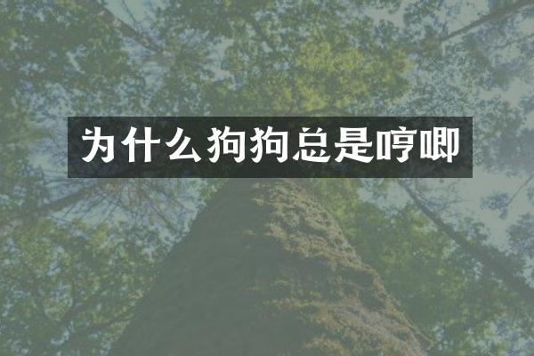 为什么狗狗总是哼唧
