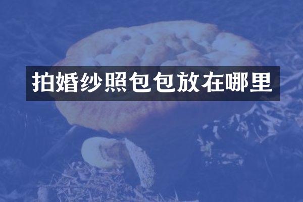 拍婚纱照包包放在哪里