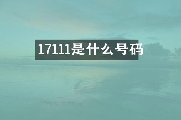 17111是什么号码