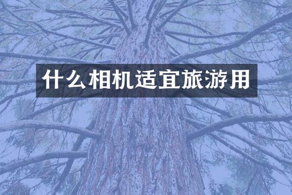 什么相机适宜旅游用