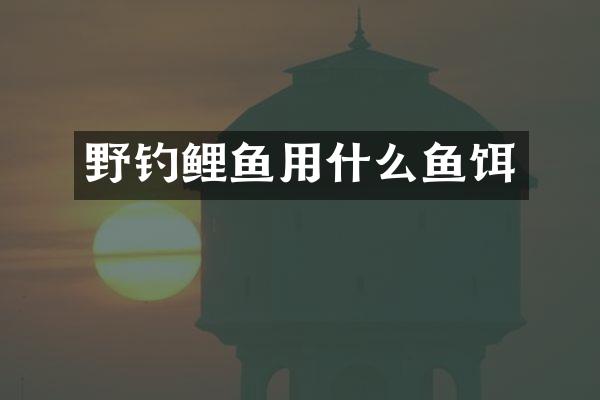 野钓鲤鱼用什么鱼饵