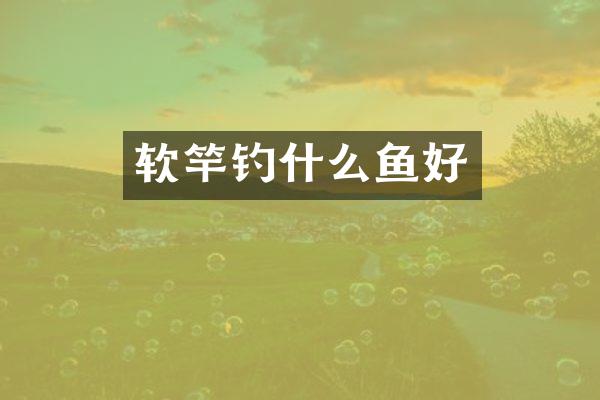 软竿钓什么鱼好