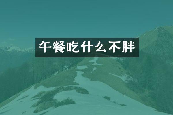 午餐吃什么不胖