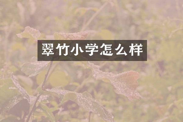 翠竹小学怎么样