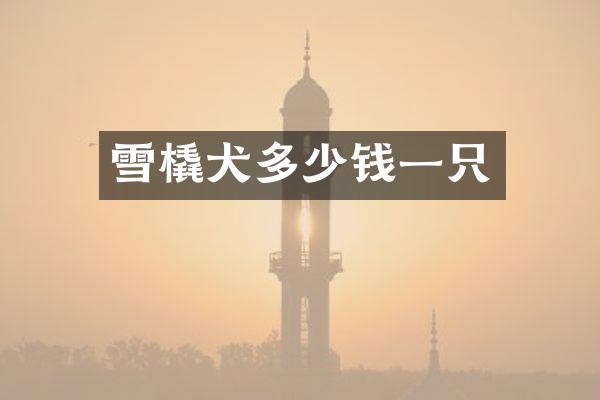 雪橇犬多少钱一只