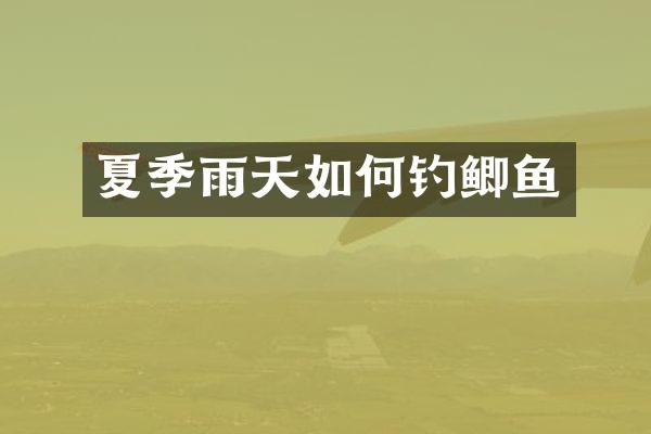 夏季雨天如何钓鲫鱼