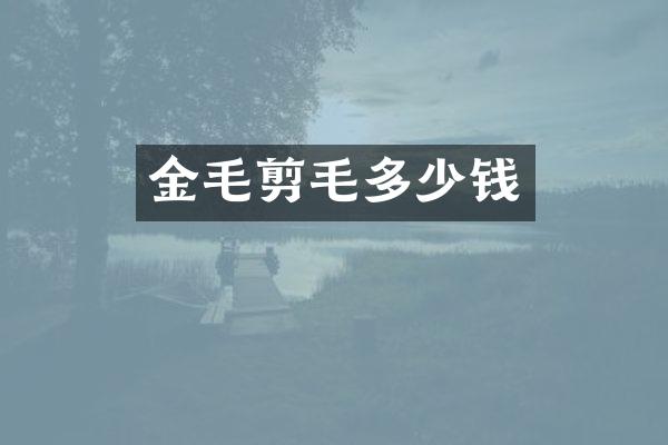 金毛剪毛多少钱