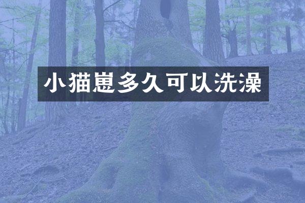 小猫崽多久可以洗澡