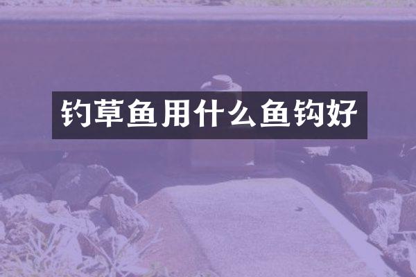 钓草鱼用什么鱼钩好