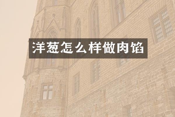 洋葱怎么样做肉馅