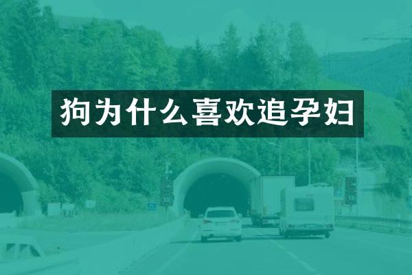 狗为什么喜欢追孕妇