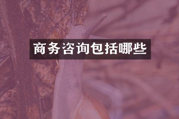 商务咨询包括哪些